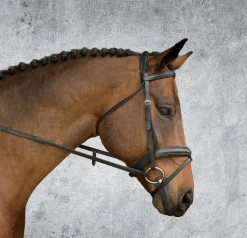 KINGS INTERNATIONAL Suffolk™ Single Crown Padded Dressage Bridle Hot