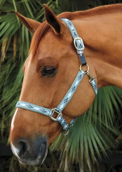 TEXT HORSE Suffolk™ Woven Argyle Breakaway Halter Outlet