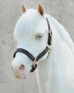 PUSHKAR INTL Suffolk™ Palermo Triple-Stitched Halter Chocolate New