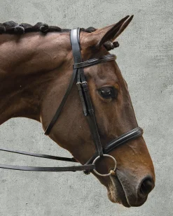 KINGS INTERNATIONAL Suffolk™ Single Crown Classic Dressage Bridle Black/Black Best