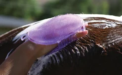 PROFESSIONALS CHOICE Tail Tamers® Jelly Scrubber Mitt