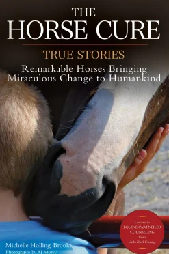 TRAFALGAR SQUARE The Horse Cure Clearance