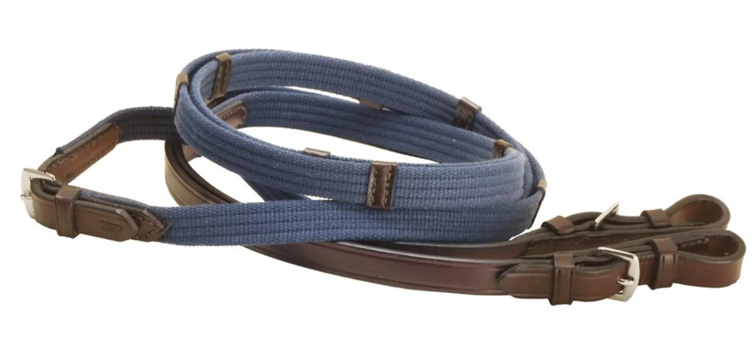 TORY LEATHER Company Economy Web Reins Sale