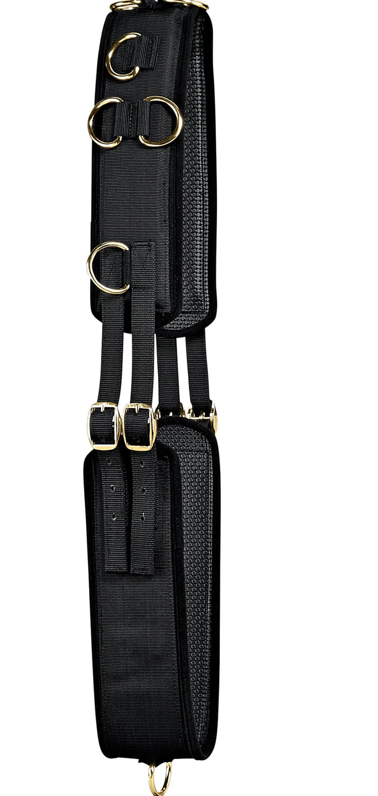 TORY LEATHER Tory Neoprene Training Surcingle Black Online