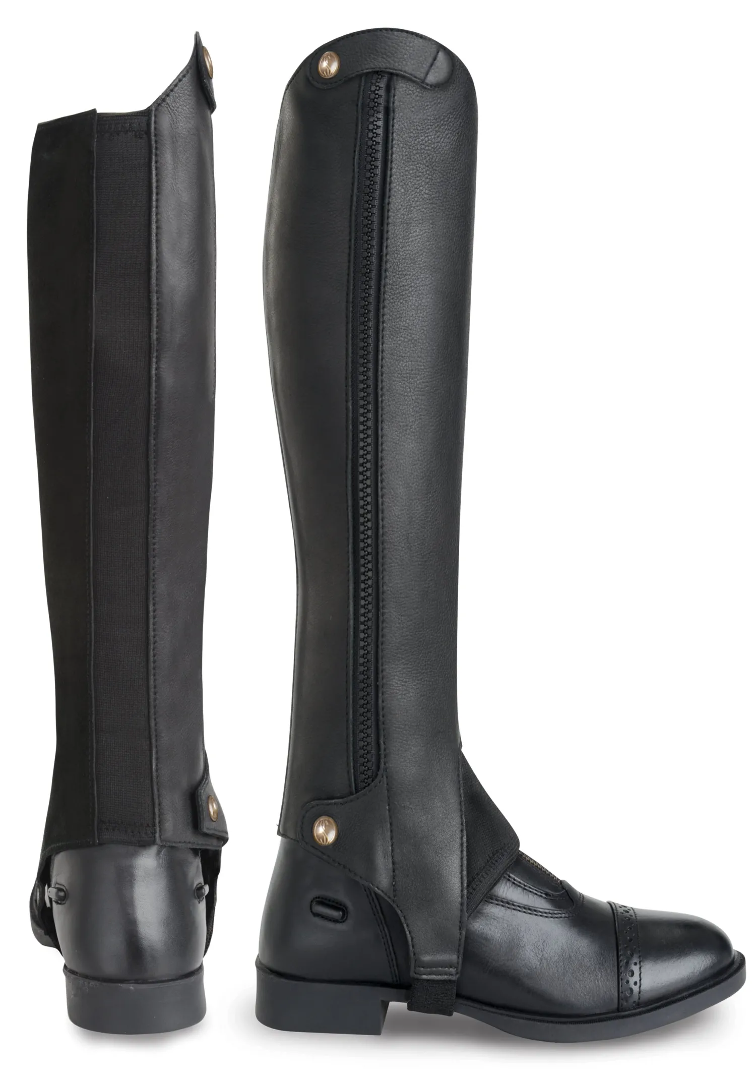 HORSE TECH Tredstep Liberty Half Chap Black New