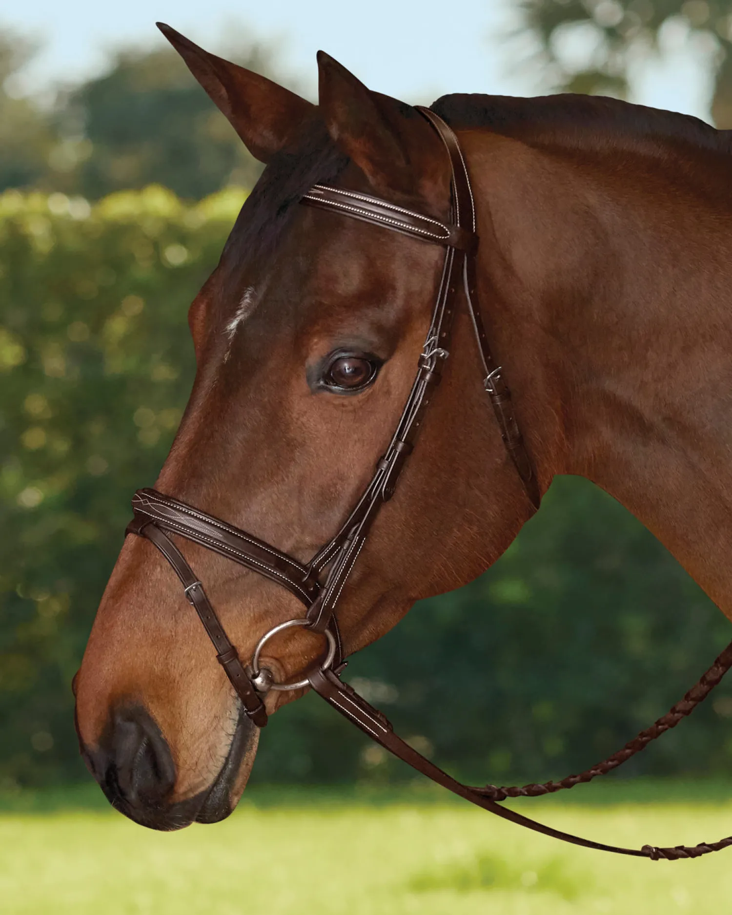 KINGS INTERNATIONAL TRU-Fit™ Build-A-Bridle™ Flash Noseband Chocolate Hot