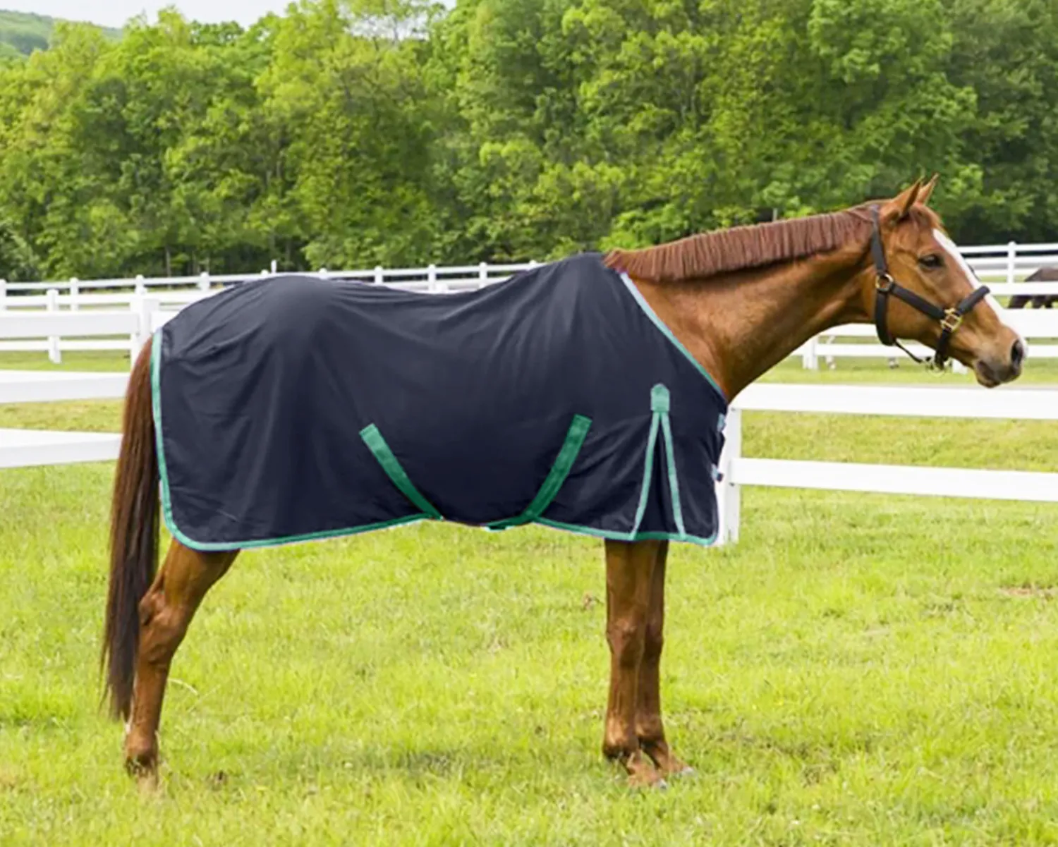 JPC EQUESTRIAN TuffRider® Kozy Komfort Stable Sheet Outlet