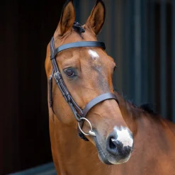 SHIRES EQUESTRIAN Velociti Lusso Hunter Caveson Bridle Havana Best