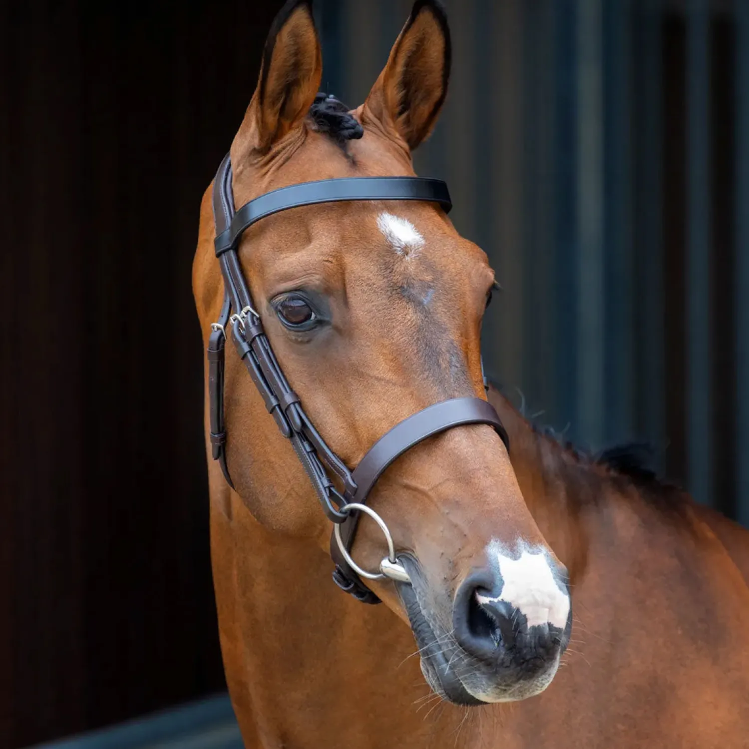 SHIRES EQUESTRIAN Velociti Lusso Hunter Caveson Bridle Havana Best