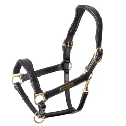 SHIRES EQUESTRIAN Velociti Rapida Cushioned Leather Halter Clearance