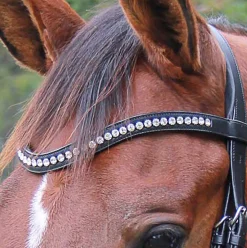WORLD EQUSTRN BRNDS Veritas by Vespucci Contoured Browband with Swarovski® Crystals Black Best