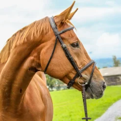 WORLD EQUSTRN BRNDS Vespucci Plain Raised Jump Bridle Brown Hot