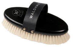 WALDHAUSEN Exklusiv Face Brush Hot