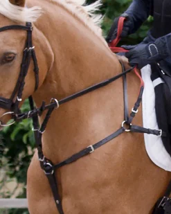 WALDHAUSEN Secutrust Breastplate with Safety Reins Hot