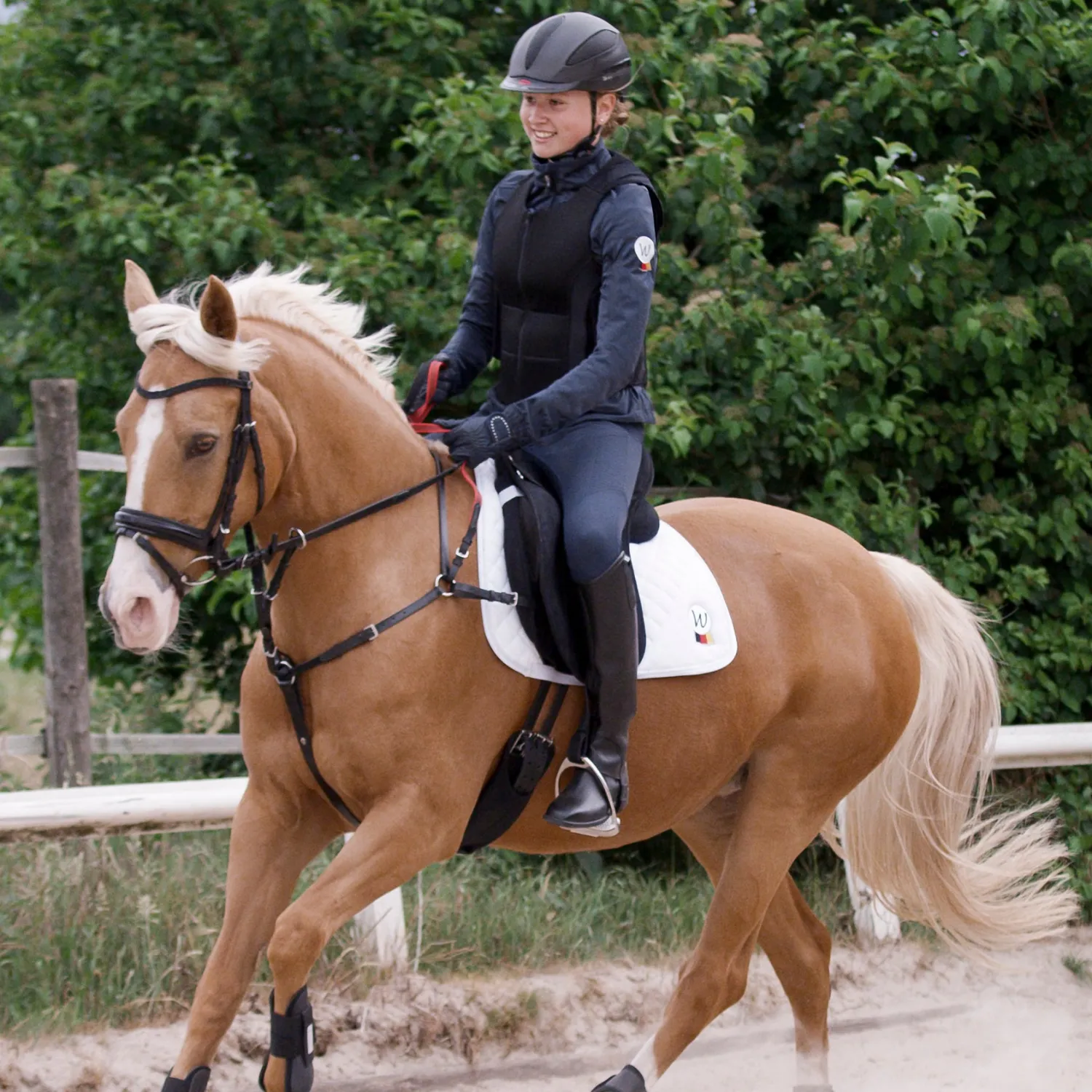 WALDHAUSEN Secutrust Breastplate with Safety Reins Hot