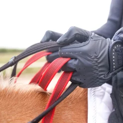 WALDHAUSEN Secutrust Breastplate with Safety Reins Hot