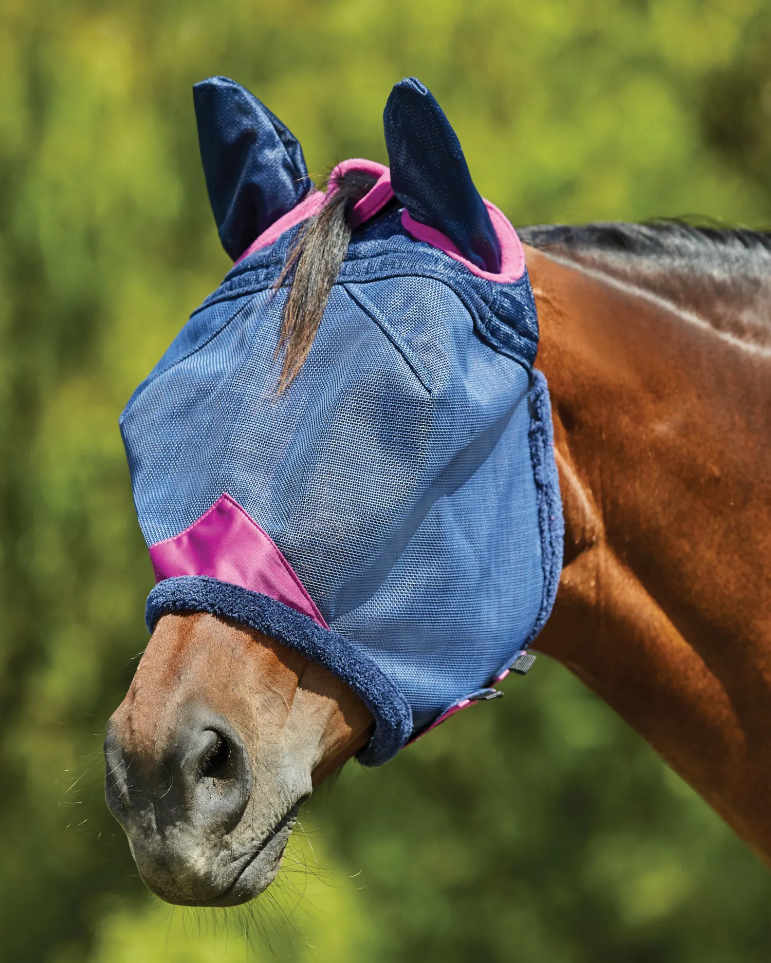 WEATHERBEETA ® ComFiTec™ Deluxe Durable Mesh Fly Mask with Ears