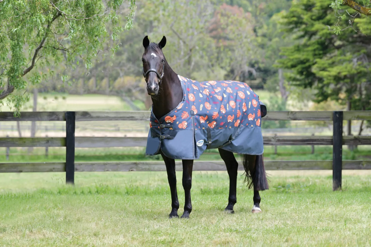 WEATHERBEETA ® ComFiTec™ Essential Standard Neck Medium-Weight Turnout Blanket Clearance