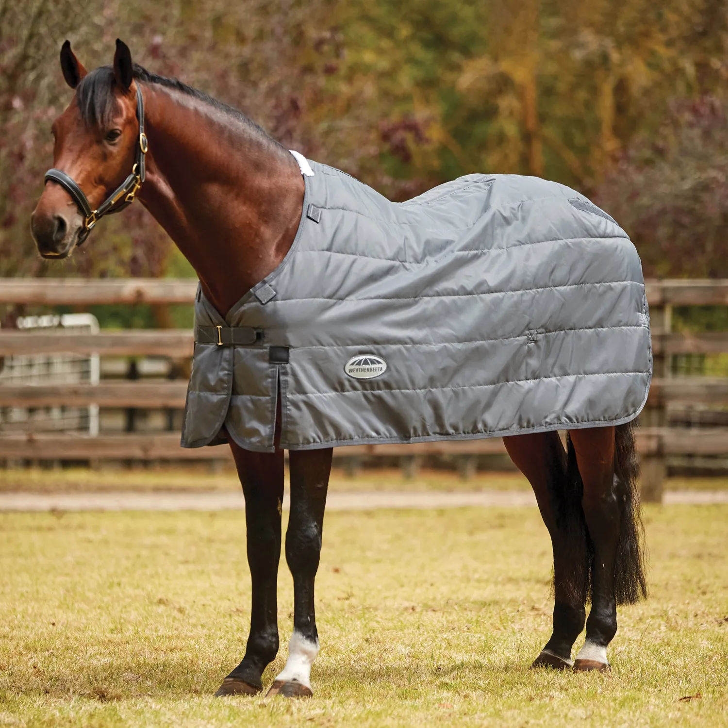 WEATHERBEETA ® ComFiTec™ Medium/Lite Blanket Liner Grey New