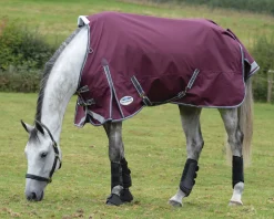 WEATHERBEETA ® ComFiTec™ Plus Dynamic II Standard Neck Medium-Weight Turnout Blanket Maroon/Grey/White New