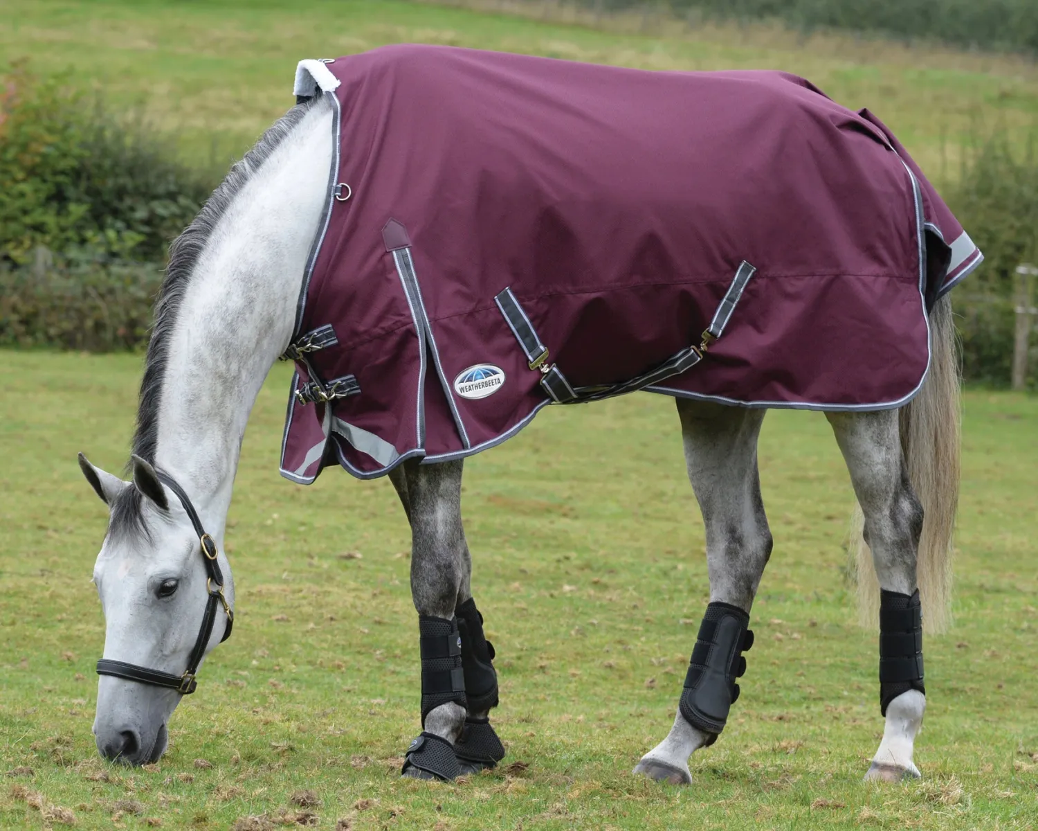 WEATHERBEETA ® ComFiTec™ Plus Dynamic II Standard Neck Medium-Weight Turnout Blanket Maroon/Grey/White New