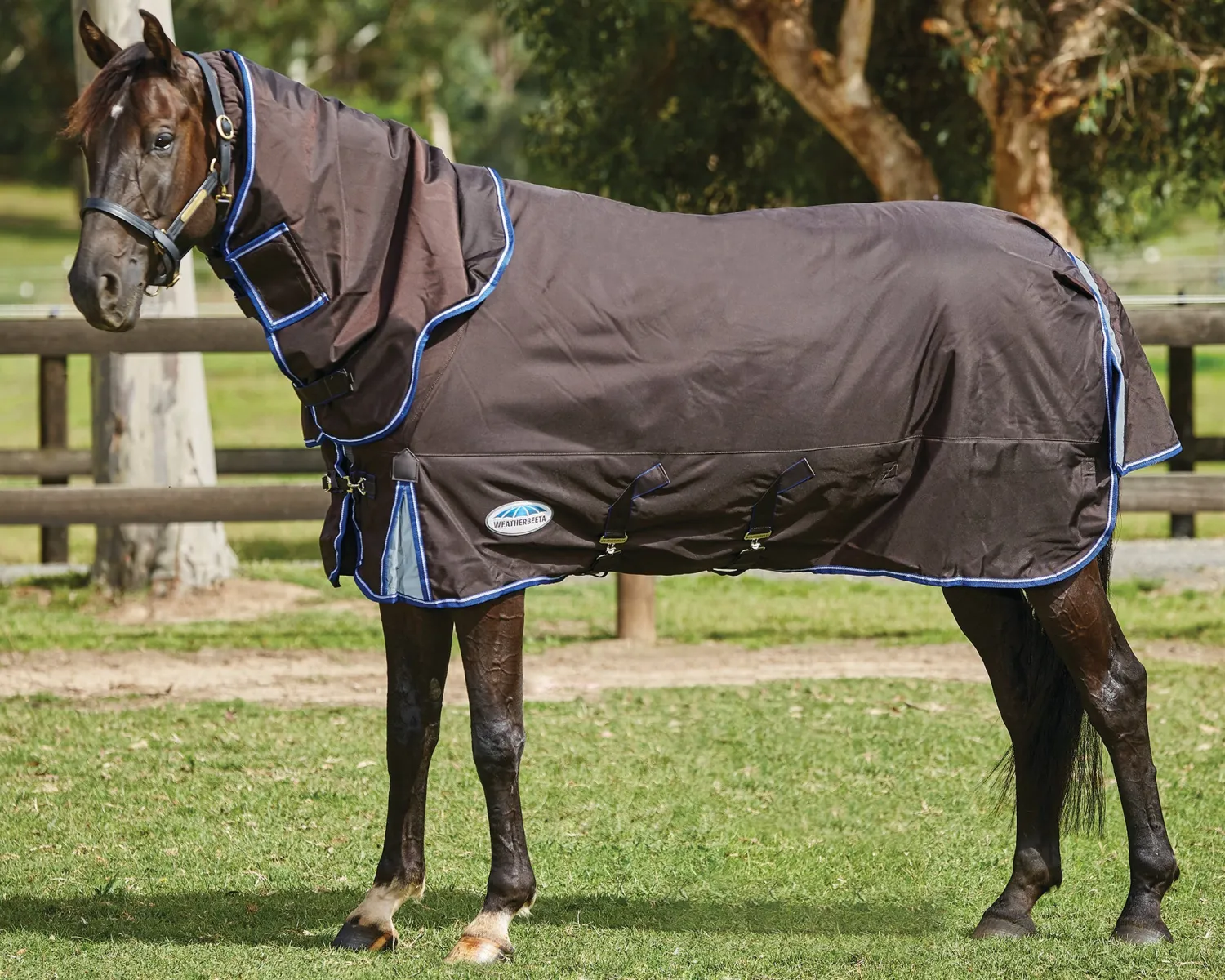 WEATHERBEETA ® ComFiTec™ Ultra Cozi II Detach-A-Neck Medium-Weight Turnout Blanket Charcoal/Blue/White Sale