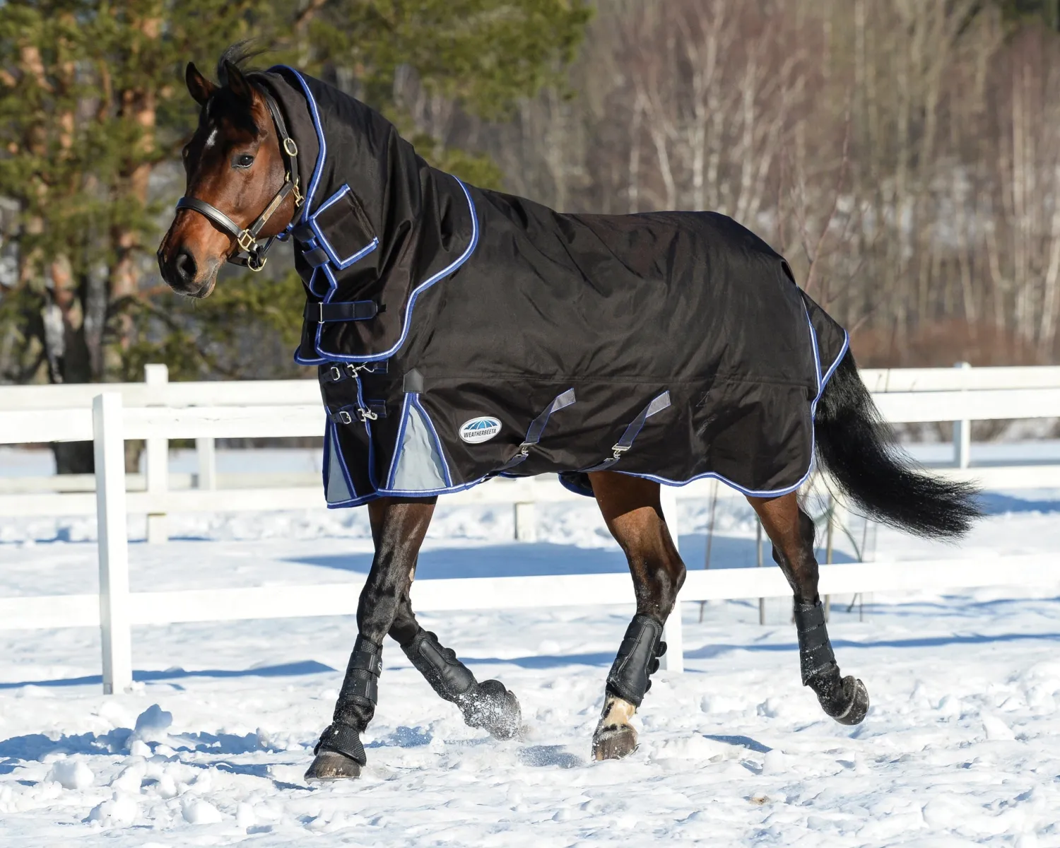 WEATHERBEETA ® ComFiTec™ Ultra Cozi II Detach-A-Neck Medium-Weight Turnout Blanket Charcoal/Blue/White Sale