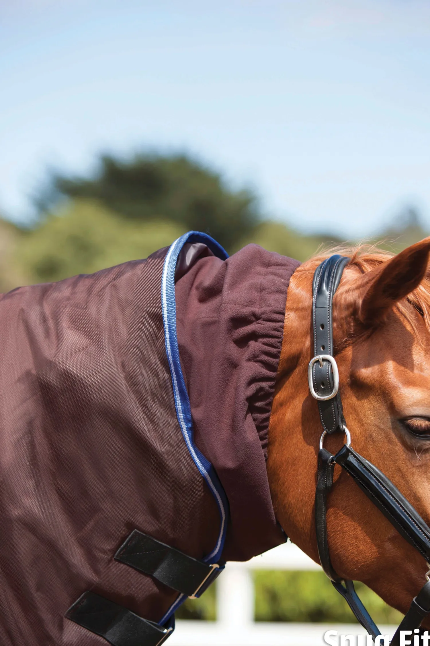 WEATHERBEETA ® ComFiTec™ Ultra Cozi II Detach-A-Neck Medium-Weight Turnout Blanket Charcoal/Blue/White Sale