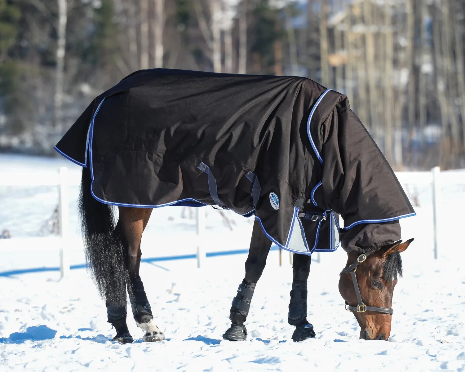 WEATHERBEETA ® ComFiTec™ Ultra Cozi II Detach-A-Neck Medium-Weight Turnout Blanket Charcoal/Blue/White Sale