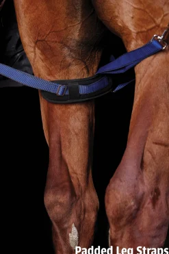 WEATHERBEETA ® ComFiTec™ Ultra Cozi II Detach-A-Neck Medium-Weight Turnout Blanket Charcoal/Blue/White Sale