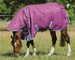 WEATHERBEETA ® Pony ComFiTec™ Premier Free II Detach-A-Neck Medium-Weight Turnout Blanket Purple/Navy/Mint Best