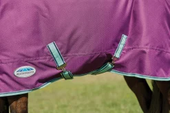 WEATHERBEETA ® Pony ComFiTec™ Premier Free II Detach-A-Neck Medium-Weight Turnout Blanket Purple/Navy/Mint Best