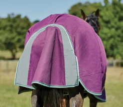 WEATHERBEETA ® Pony ComFiTec™ Premier Free II Detach-A-Neck Medium-Weight Turnout Blanket Purple/Navy/Mint Best
