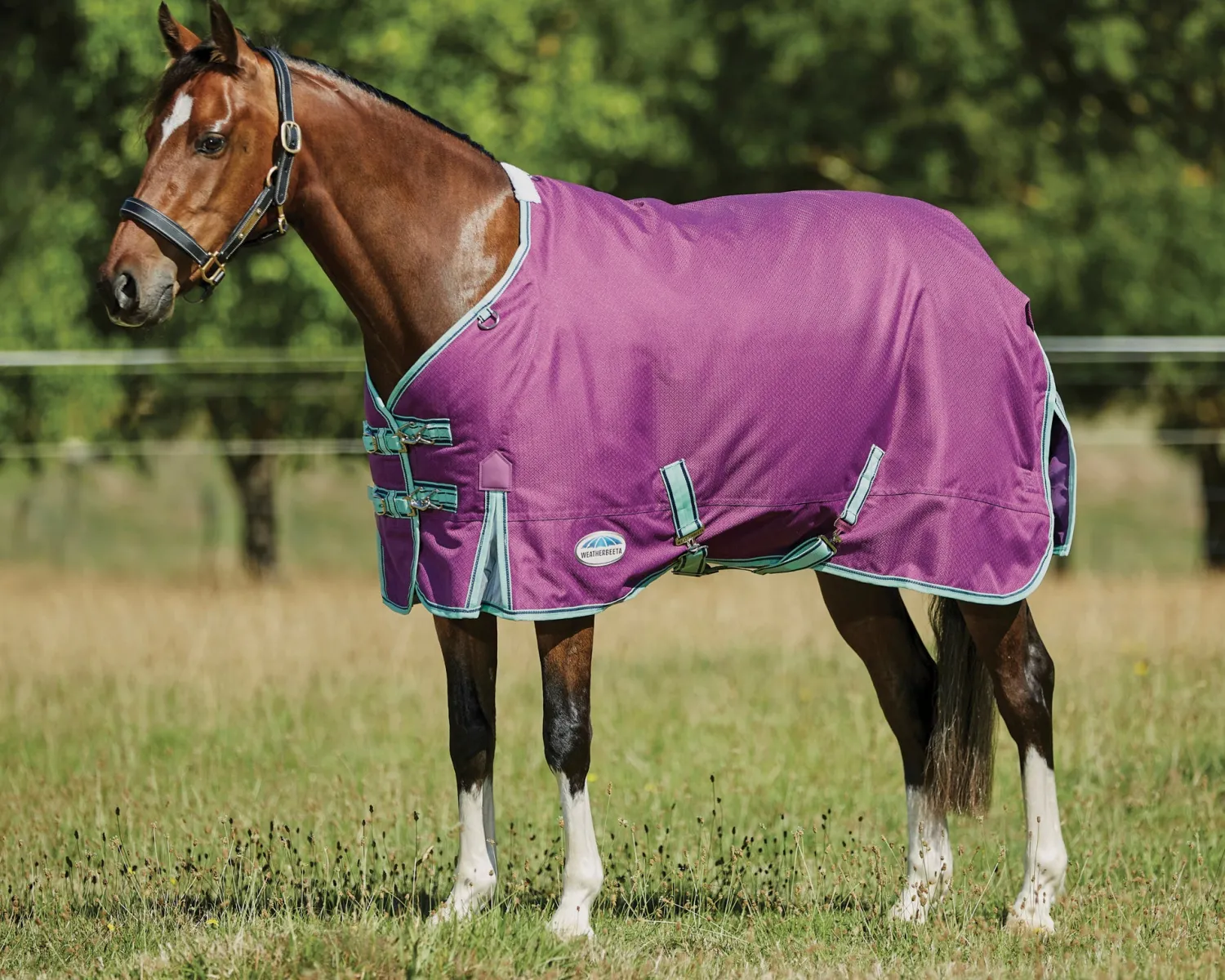 WEATHERBEETA ® Pony ComFiTec™ Premier Free II Standard Neck Lite Turnout Purple/Navy/Mint Discount