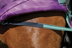 WEATHERBEETA ® Pony ComFiTec™ Premier Free II Standard Neck Lite Turnout Purple/Navy/Mint Discount