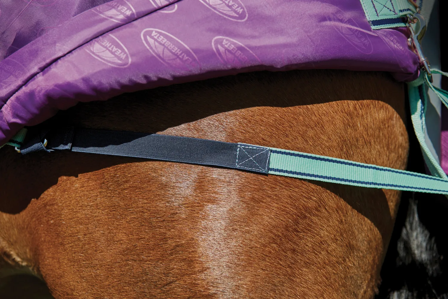 WEATHERBEETA ® Pony ComFiTec™ Premier Free II Standard Neck Lite Turnout Purple/Navy/Mint Discount