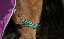 WEATHERBEETA ® Pony ComFiTec™ Premier Free II Standard Neck Lite Turnout Purple/Navy/Mint Discount