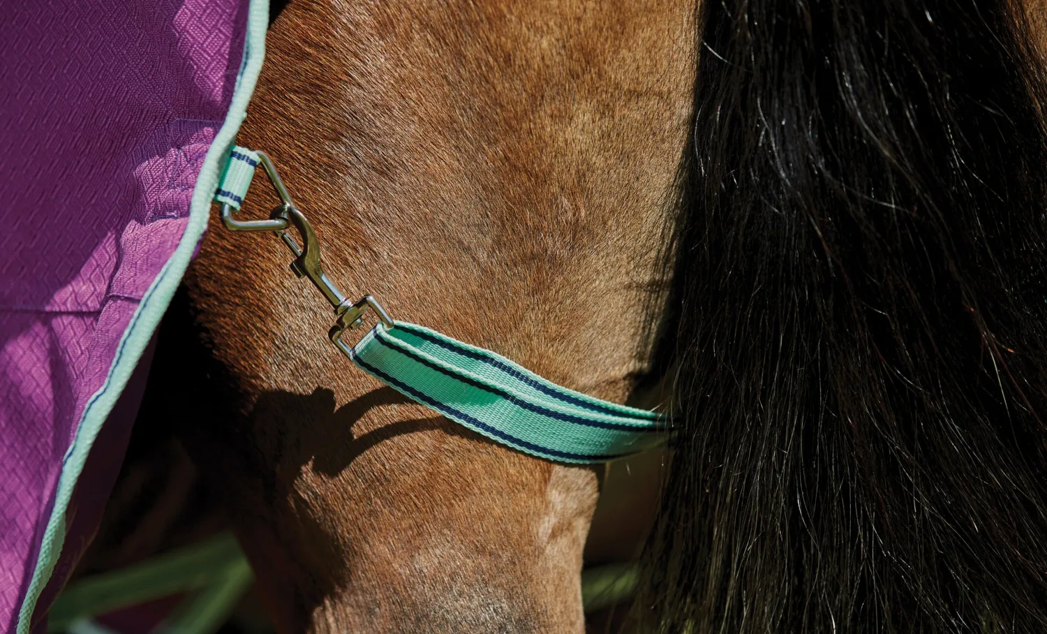 WEATHERBEETA ® Pony ComFiTec™ Premier Free II Standard Neck Lite Turnout Purple/Navy/Mint Discount