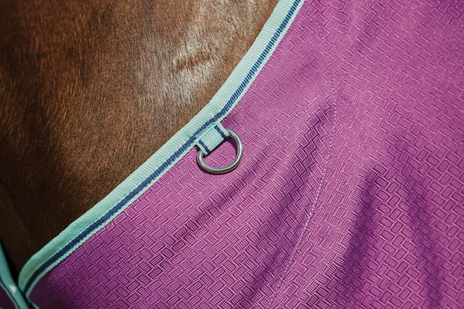 WEATHERBEETA ® Pony ComFiTec™ Premier Free II Standard Neck Lite Turnout Purple/Navy/Mint Discount