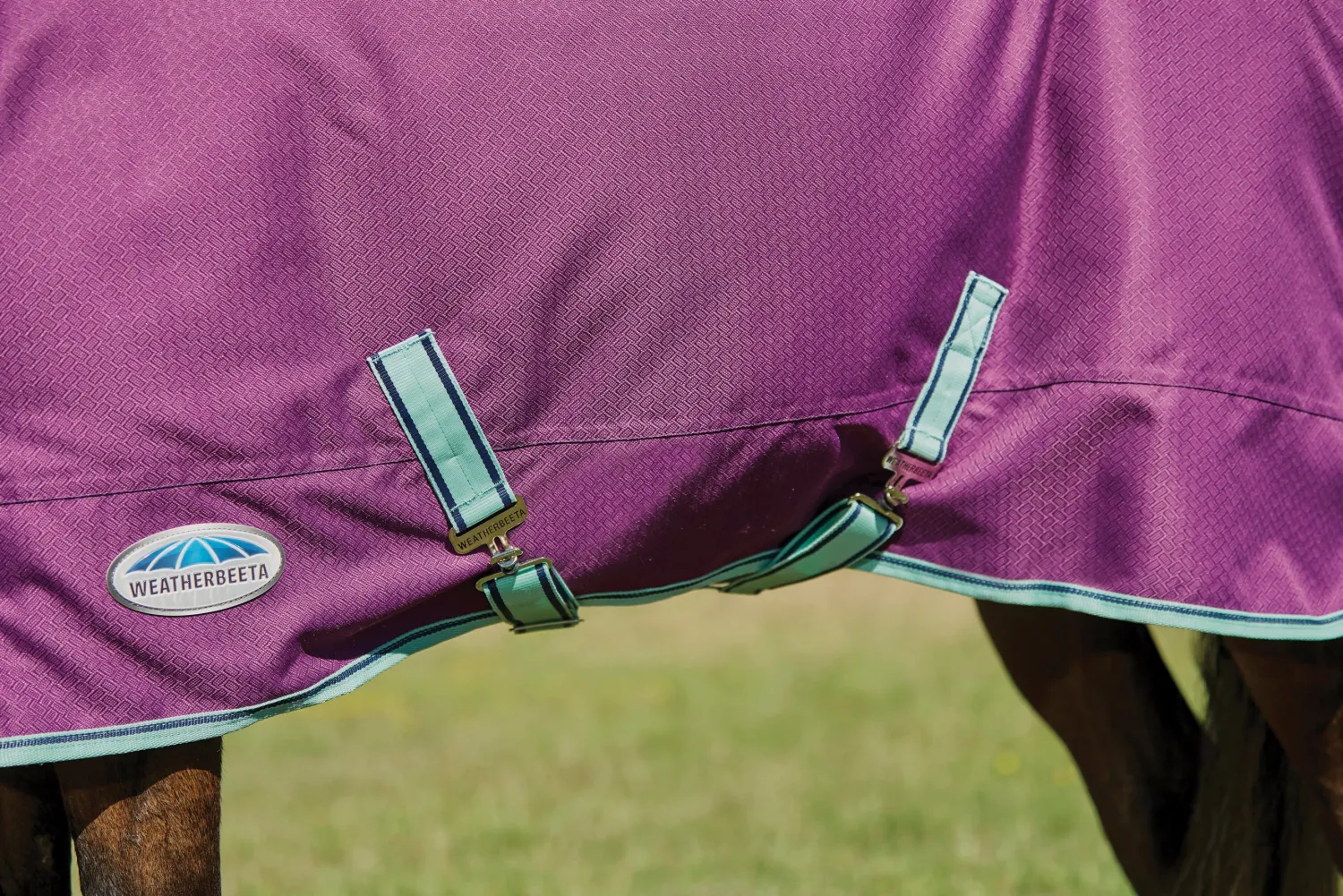 WEATHERBEETA ® Pony ComFiTec™ Premier Free II Standard Neck Lite Turnout Purple/Navy/Mint Discount