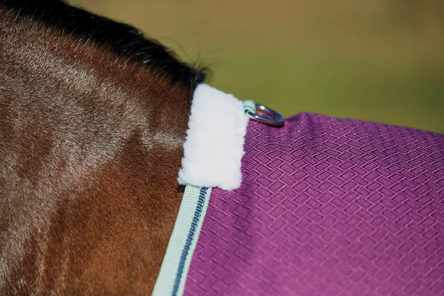 WEATHERBEETA ® Pony ComFiTec™ Premier Free II Standard Neck Lite Turnout Purple/Navy/Mint Discount