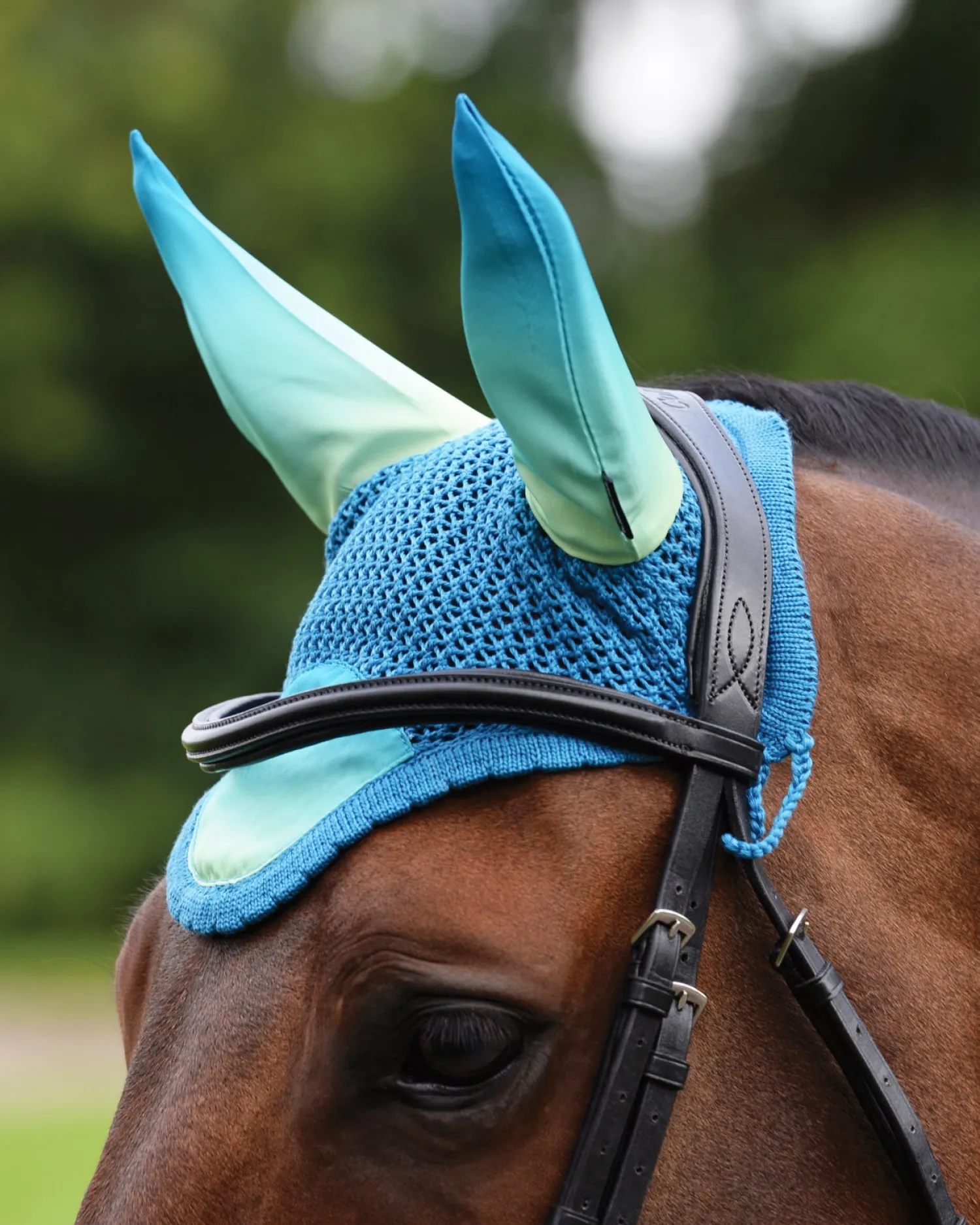 WEATHERBEETA ® Prime Ombré Ear Bonnet Clearance