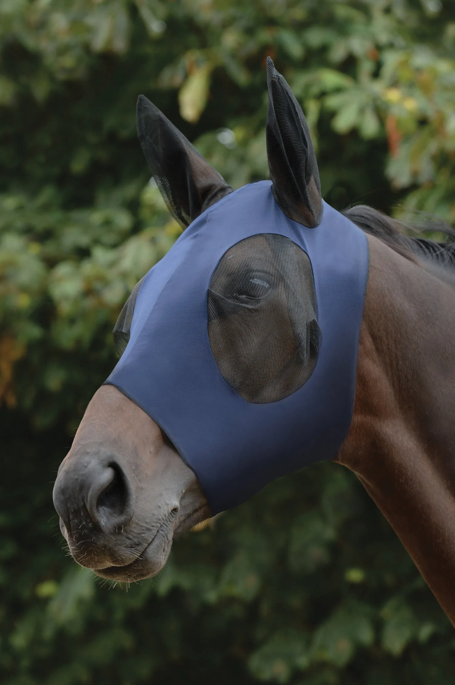 WEATHERBEETA ® Stretch Bug Eye Saver with Ears