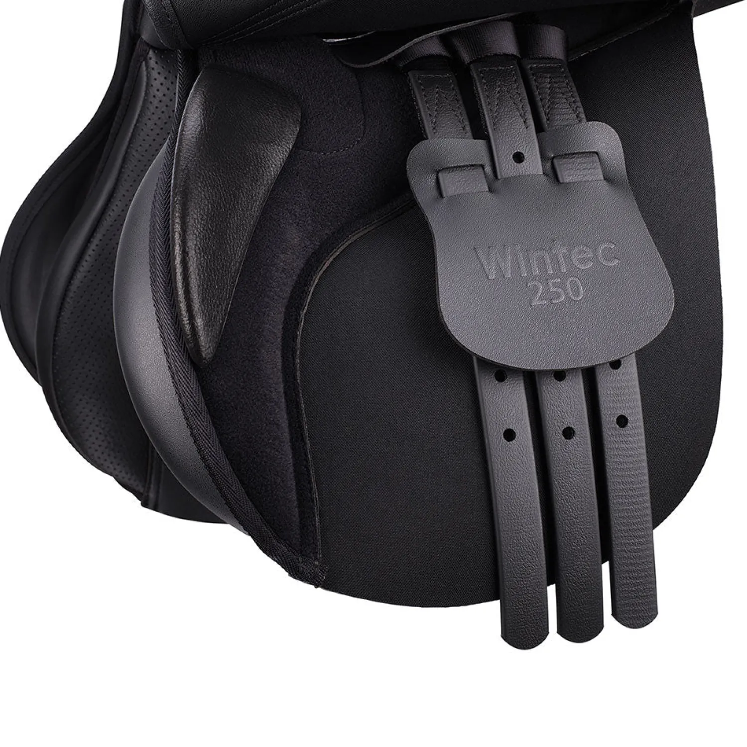 SADDLERY BRANDS INTL Wintec 250 All-Purpose with Flocked Panels Online