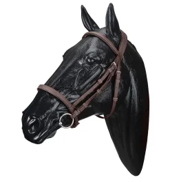 SADDLERY BRANDS INTL Wintec Bridle Online