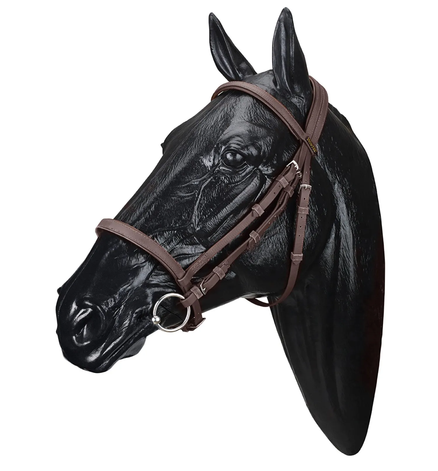 SADDLERY BRANDS INTL Wintec Bridle Online