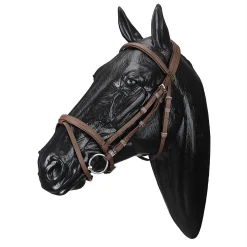 SADDLERY BRANDS INTL Wintec Bridle with Flash Outlet