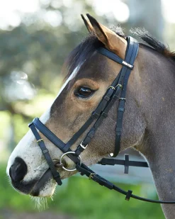 SADDLERY BRANDS INTL Wintec Bridle with Flash Outlet