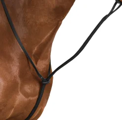 SADDLERY BRANDS INTL Wintec Standing Martingale Best