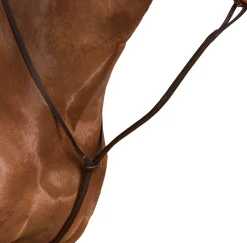 SADDLERY BRANDS INTL Wintec Standing Martingale Best